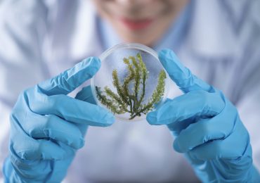 Ficha Técnica L-END: Aditivo formulado para la alimentación animal